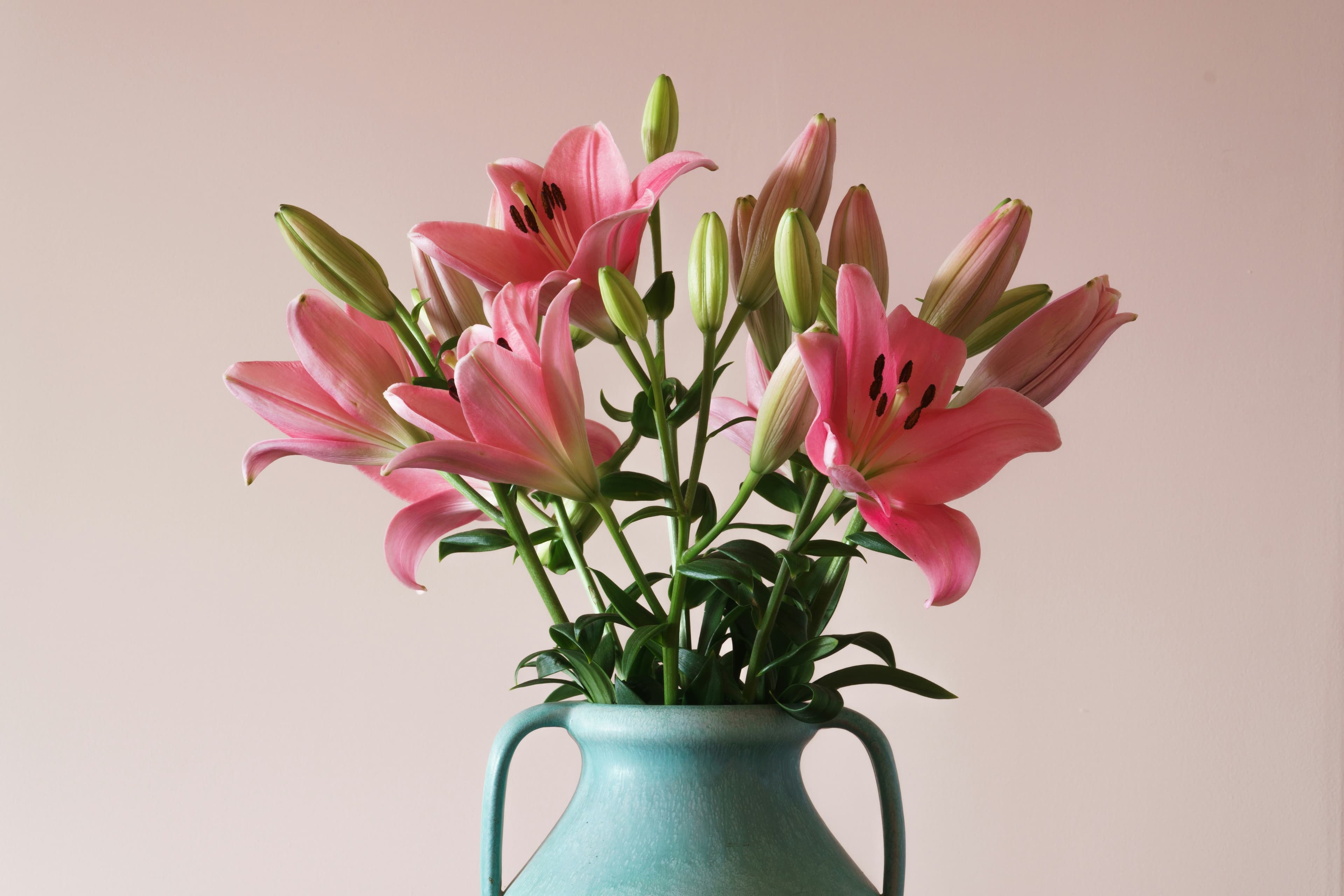Floral Detail