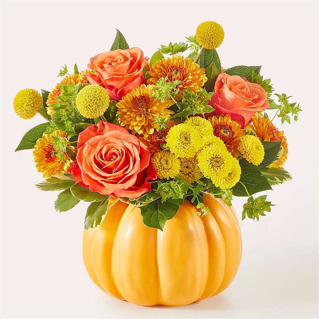 Gourdgeous Pumpkin